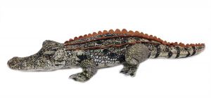 Liggende Krokodil 100 cm met levensechte print.