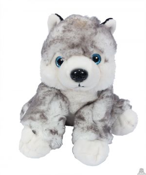 Pluche zittende Huskey wolf 20 cm.