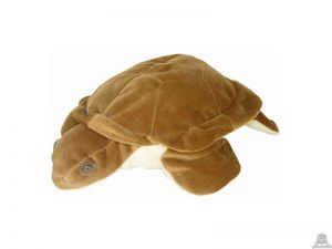 Staande pluche schildpad beide van 60 CM.